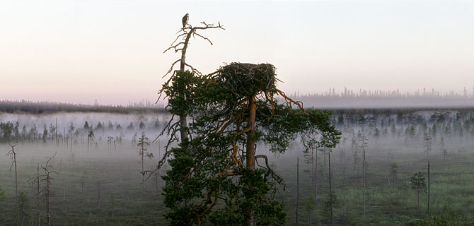 galleria_liikettasarjasta