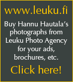 leuku_eng